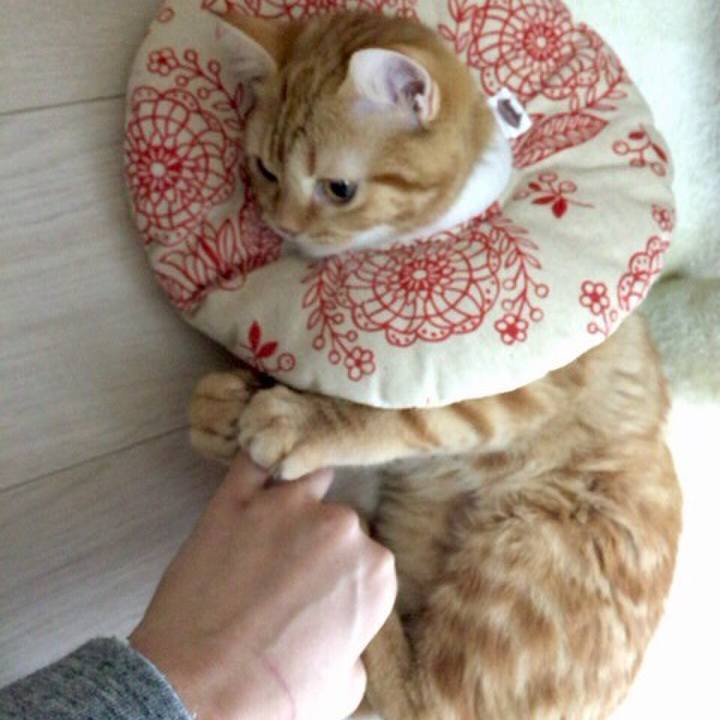 3229814c 84e0 4aa4 9d58 fb34d7d199a5