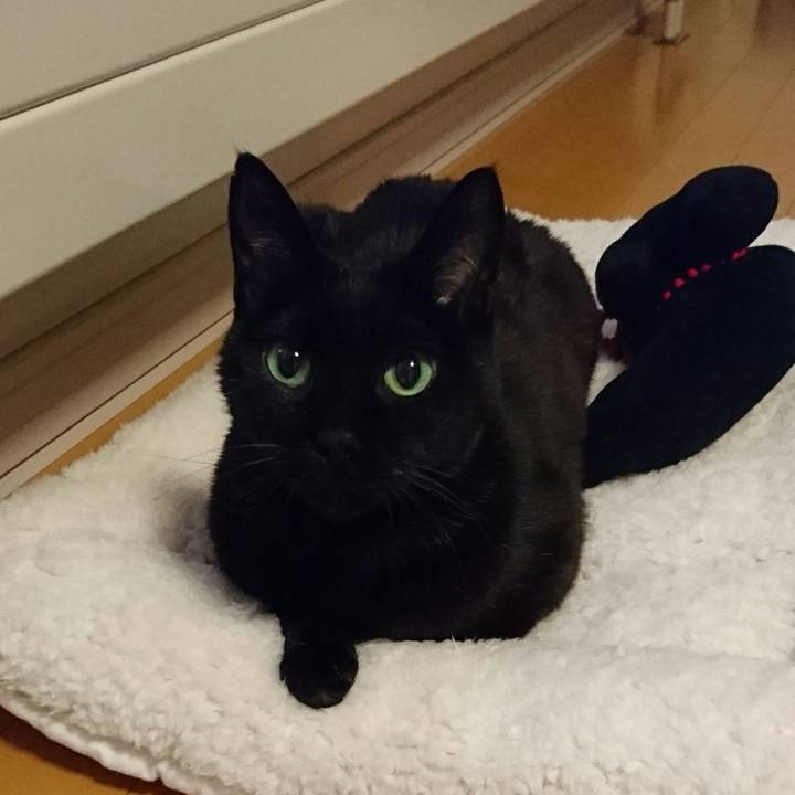 3229d528 85e7 4ec0 9a36 fe559c92341a