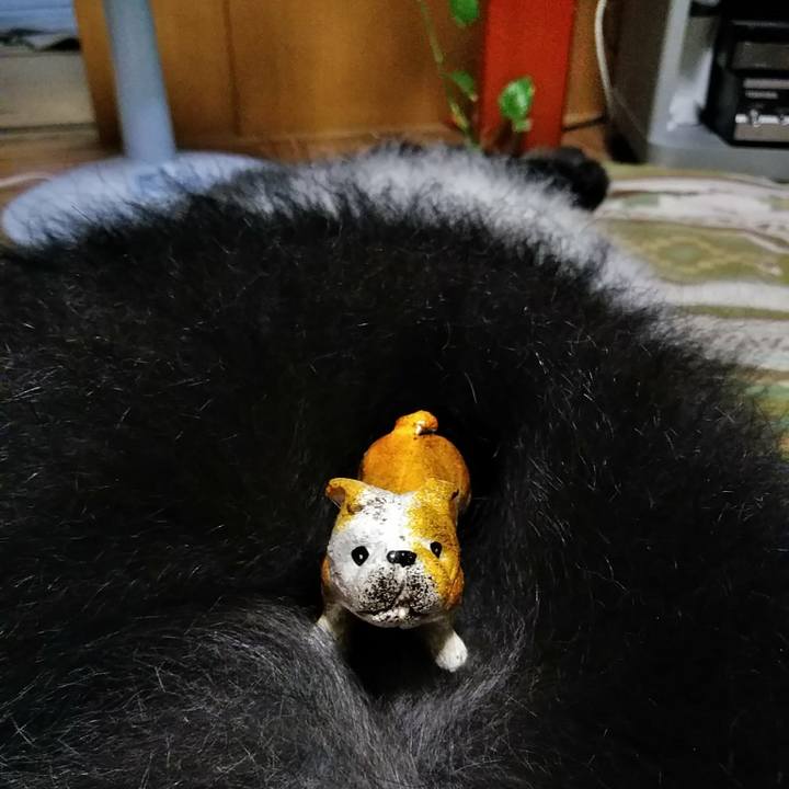 322aa561 68b1 4eab 8748 909597d5e956