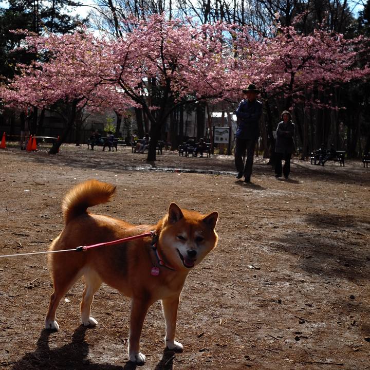 322ac488 ab48 47b5 8464 6d49aeb4acce