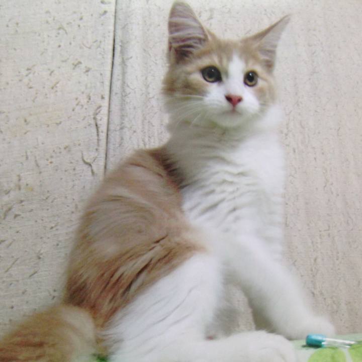 322b0b5f e93a 4191 a7e1 2bc2e52be606