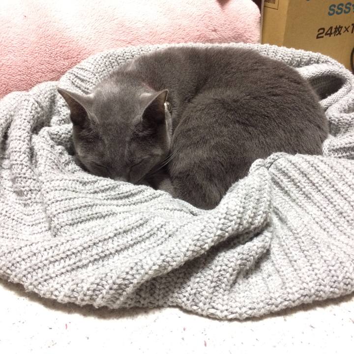 322b6daf 4772 4e9b 85ad 5e815c779ab4