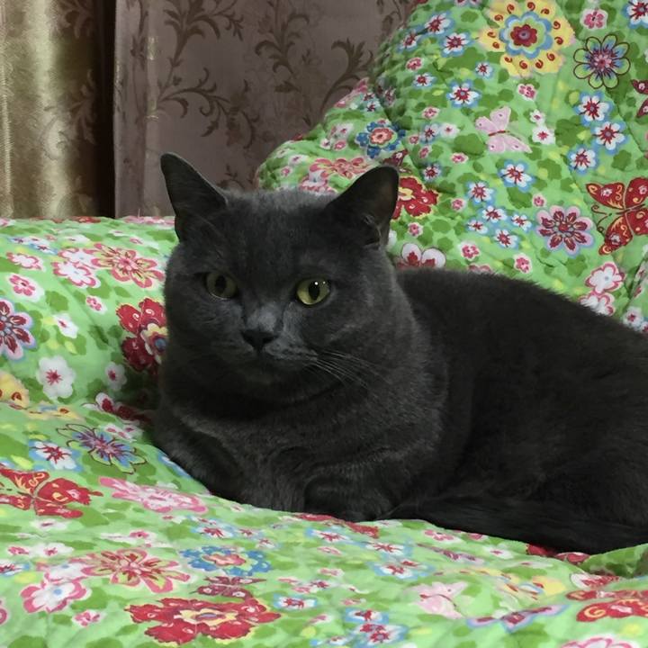 322bc0ef 90b2 4987 992f a31f3990b777