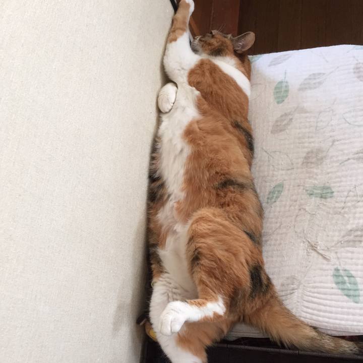 322bfc9f 9c2c 4a2a 9bde 10a2fa0d7f6d