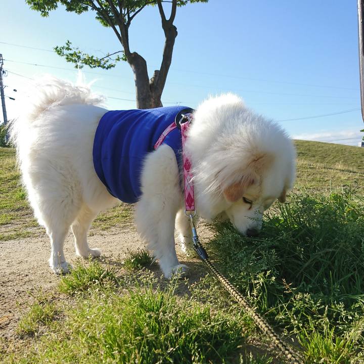 322d0d20 46e5 4730 ba56 b0d4a15828ea