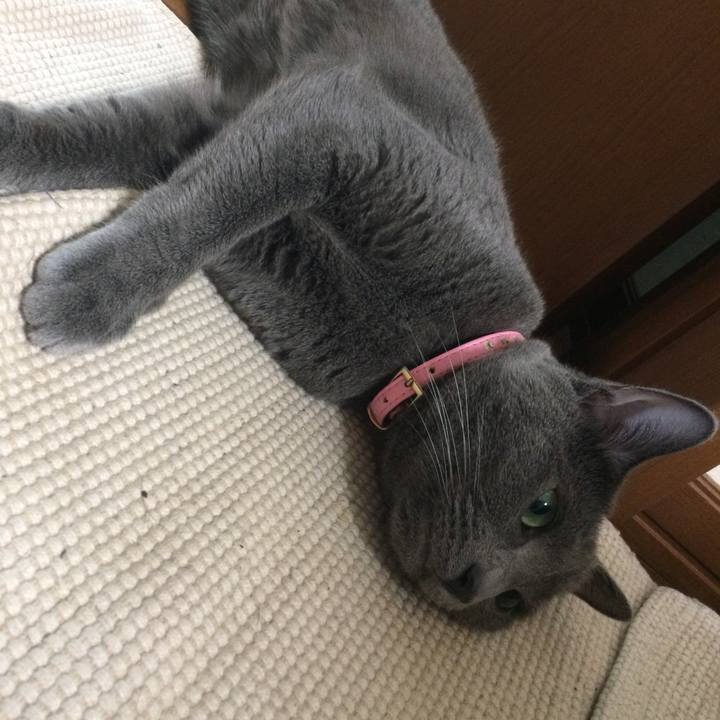 322d5647 59ff 4c71 90fa 5929ab71b045