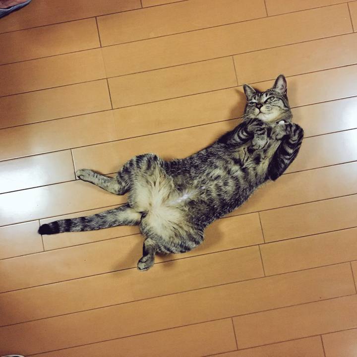 322e3fd0 59b5 4d63 bac2 b77633c09202