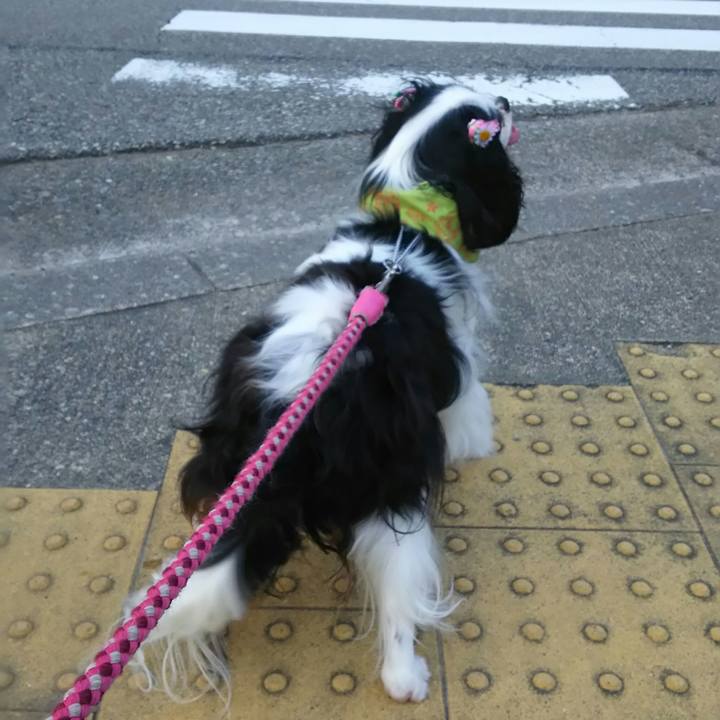 322e5b15 6d10 4c29 a049 b0b77b6cf0cf