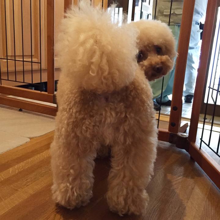 322e88ca 7eed 4917 b59a 082461ec0b64