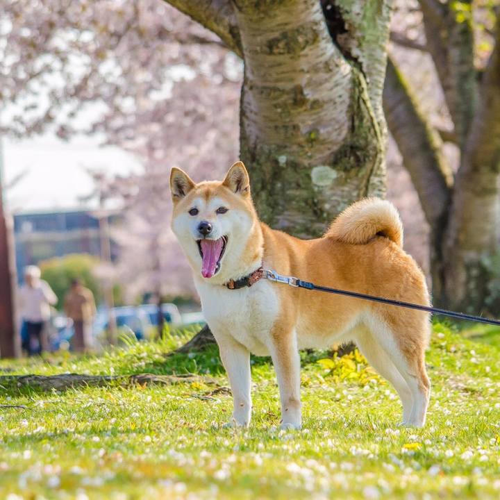 322ea1a2 f44d 4565 bd88 68146a8c6e79