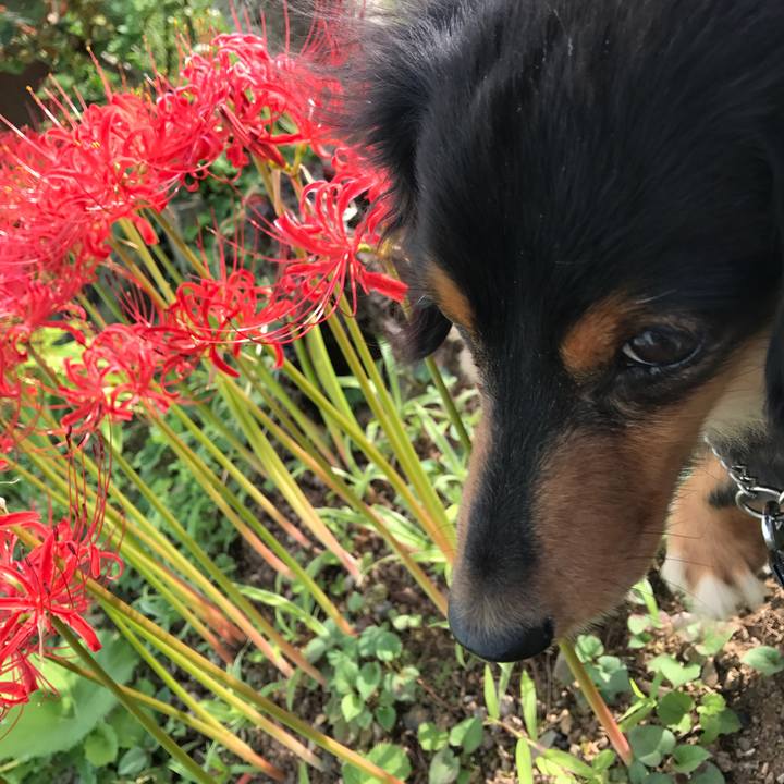 322eb31f dd51 4d5a b418 b52bede88c84