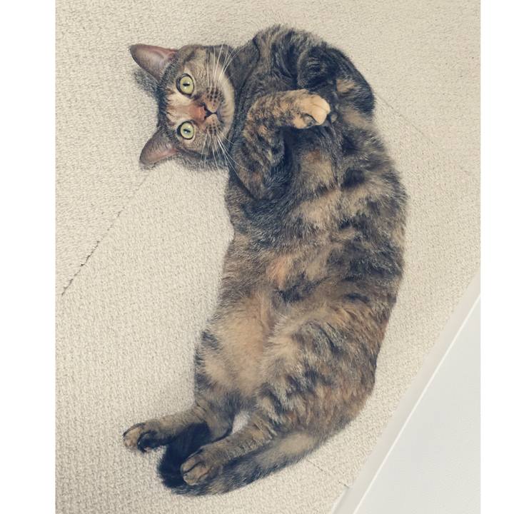 322ebba5 5c3b 46af b07e 3161e358ef4e