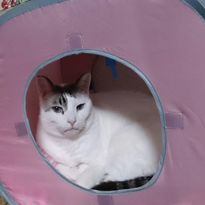 3230a17b d5b7 420a 9825 aec9bb4dc24e