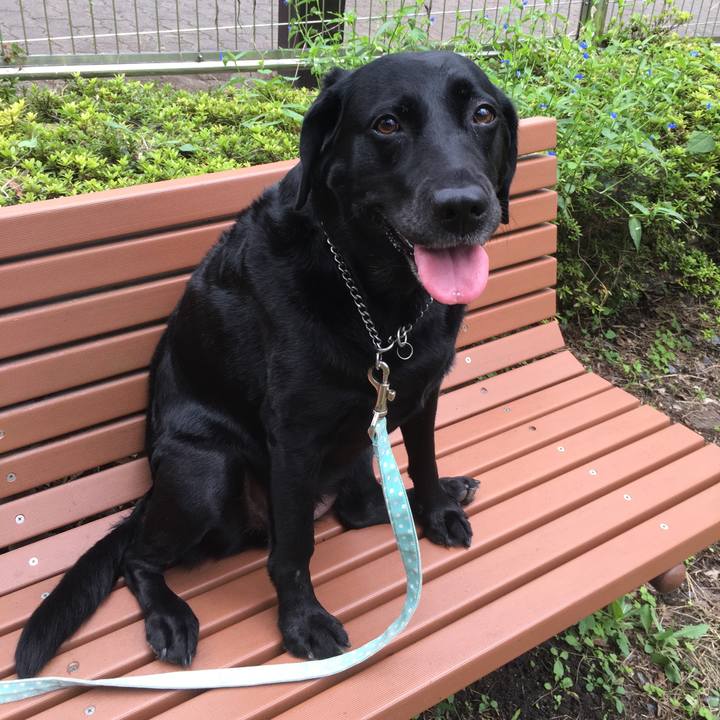 3230db9c 2328 49ef b5a5 9995e55b36c2