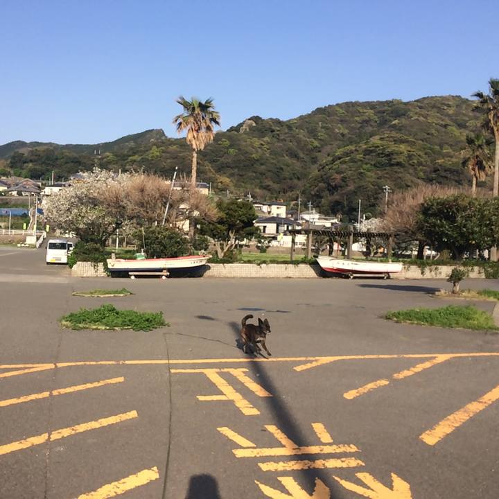 3231742e 8e6b 4208 896d 1b6617441bef