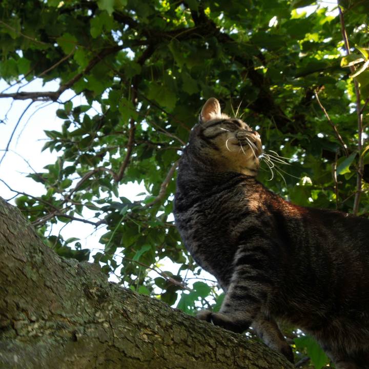 3232027c 6749 461d a9b6 e38171ca93e3