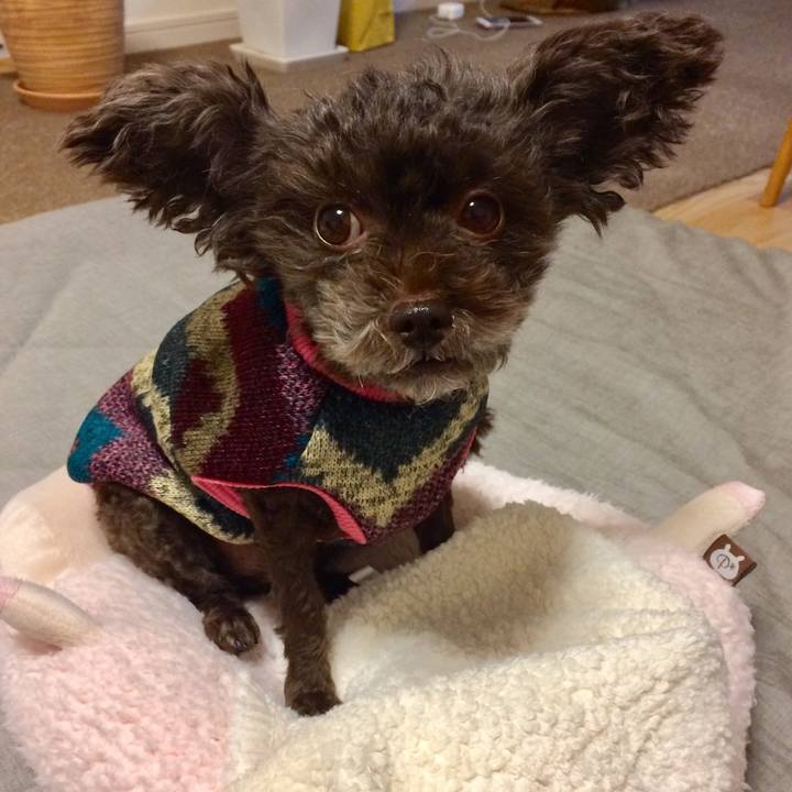 32333faf b3cd 414c 9f61 653f264dd3a6