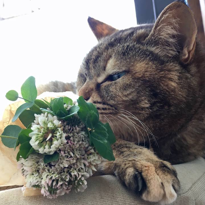 32337c2d cf30 4b10 a7cc e0eb30e1cbe7