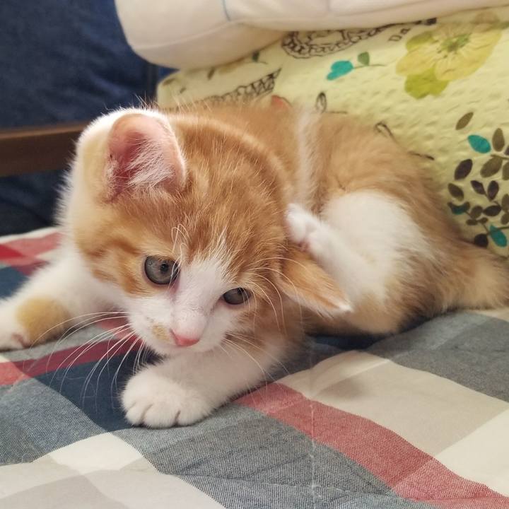 3233df20 1cb4 4210 bea3 10677d0e7178