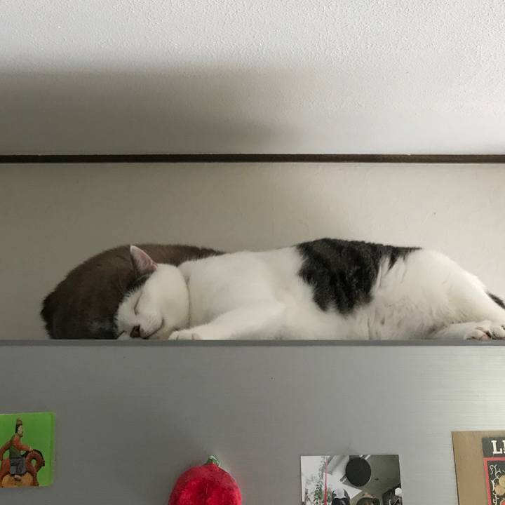 32343117 5342 4277 acf5 94ebce73aed4