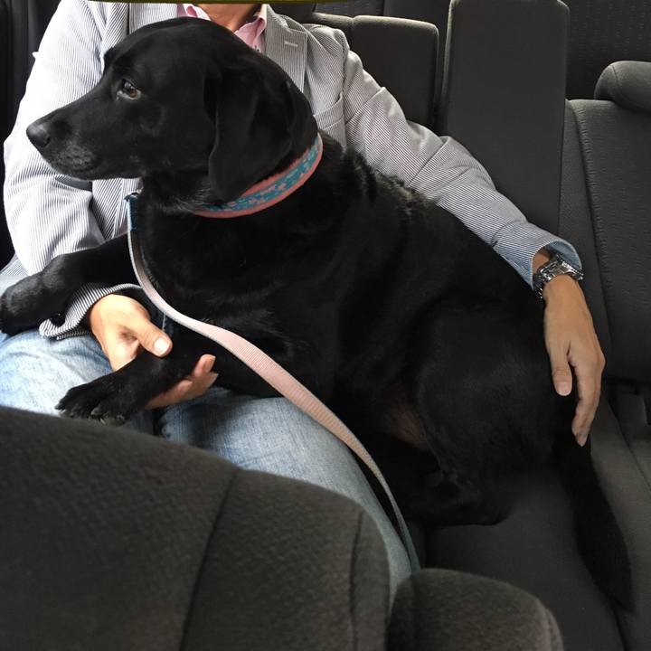 32346c8c 84a7 4997 ab9d bdd3695d953e