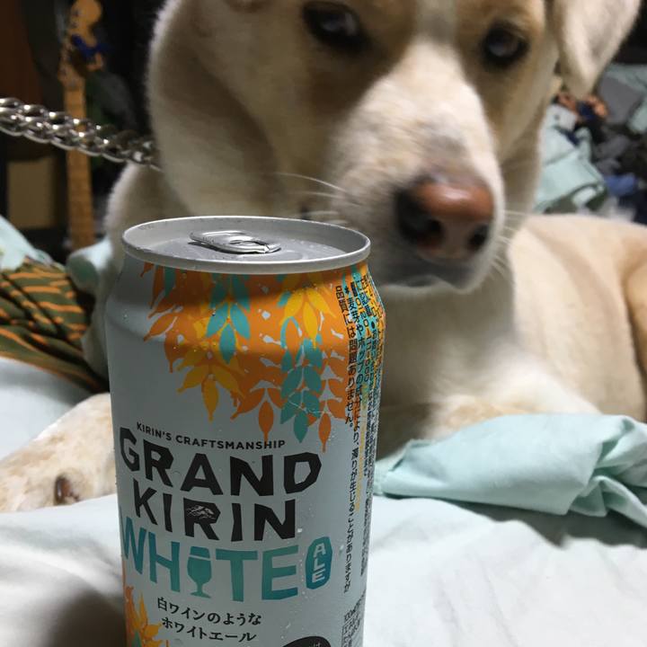 3234b8b0 9535 407a 81c6 2000a5a450fc