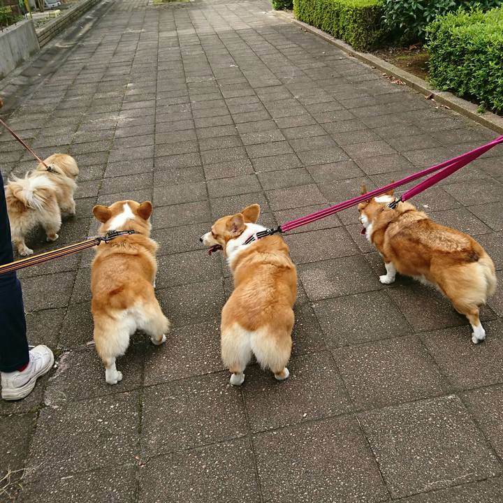 32356e38 563c 45bc bd15 bcd74f919f19