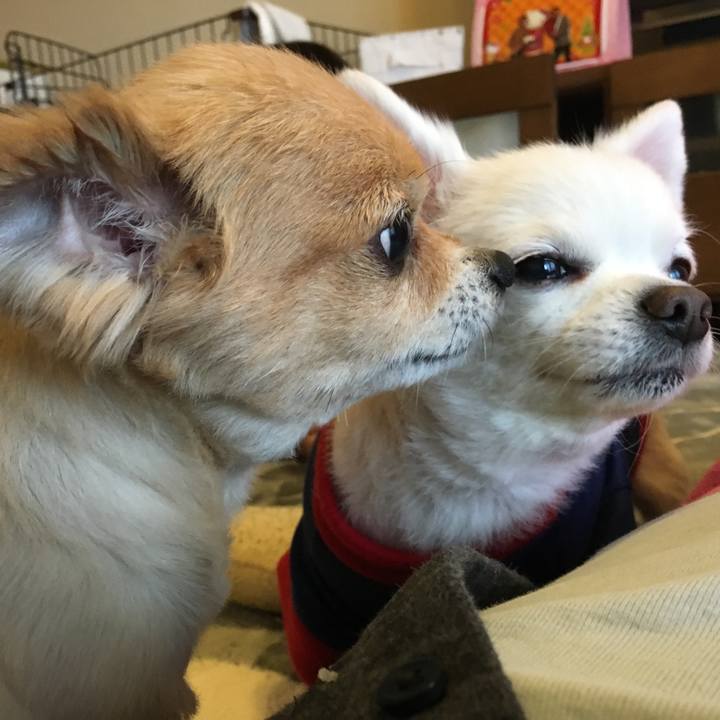 3235a144 edb4 46ab a9f2 ddc0df75024d