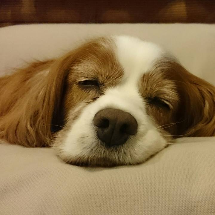 3235d651 dc5b 4773 a849 22013fea45bd