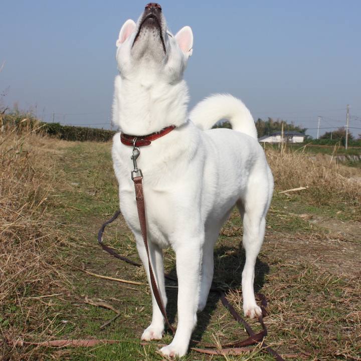 32377067 2d9e 4268 b392 d52283db69a7