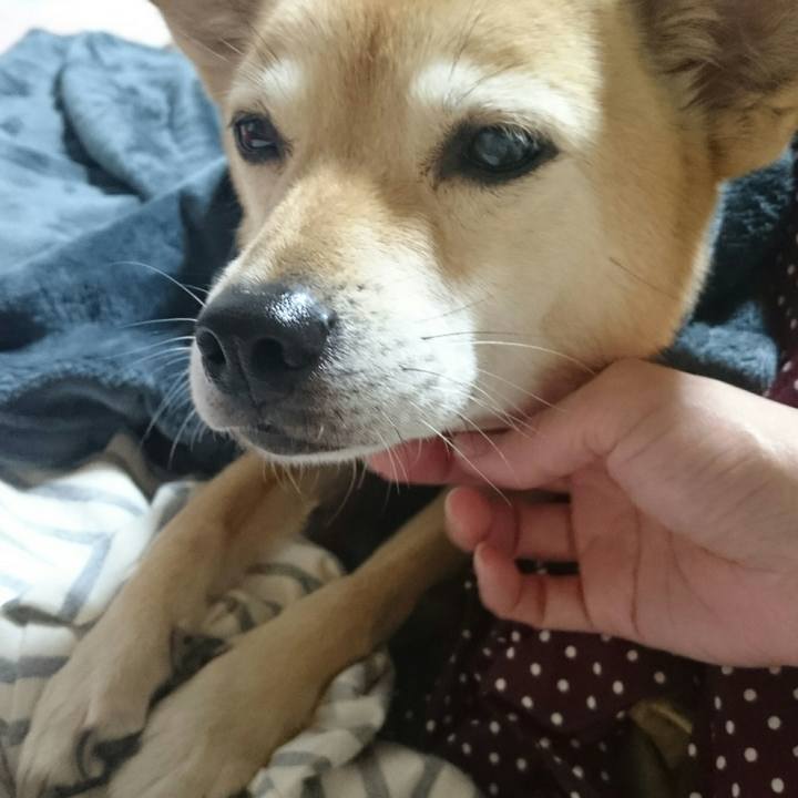 32378dd9 f37d 441c a9b8 83ea5d448bee