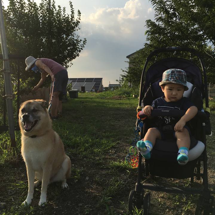 3238c40e 1adf 4293 9718 f73691b34059