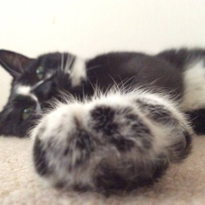 3238e92c 4e11 4f79 b09c 984c7058d4c3