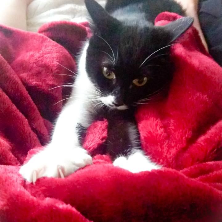 3239791b fbde 4bf0 9ffc bce2c5a01db0