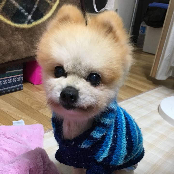 3239a763 2f56 4efd 949b 55c61febcf71