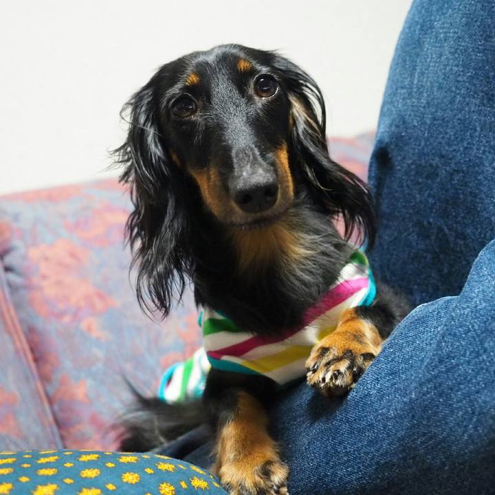 3239ef1e d667 4905 a27e 489d23b1be2f