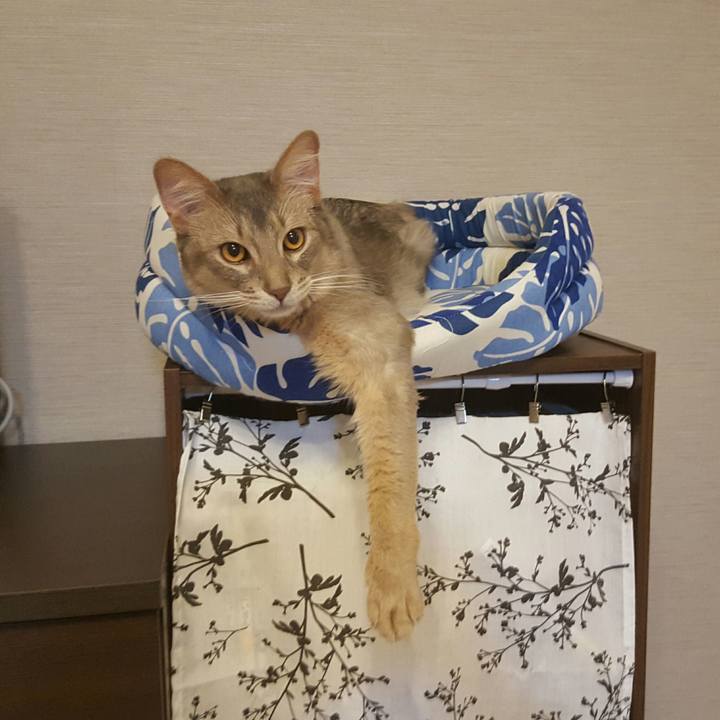 323a30b1 f511 42de 9098 939aefac053e