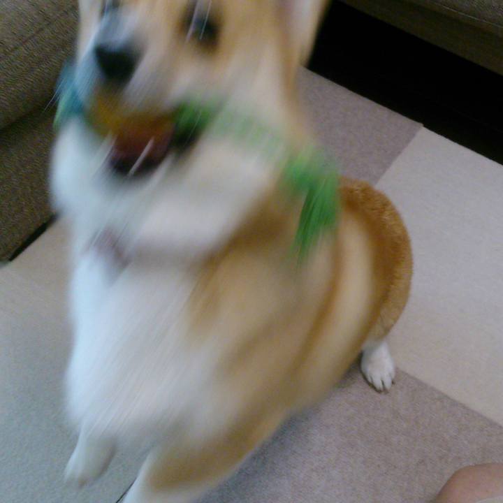 323ace55 23a9 46bf ace5 04cd2c4313f8