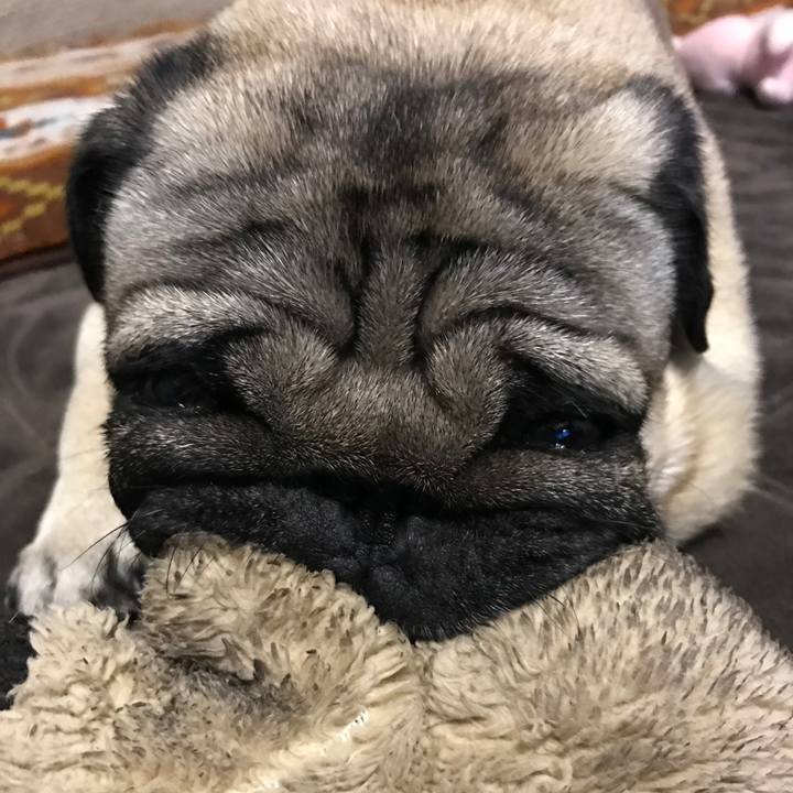 323b68f1 8365 4fbf a98a 03a3b598c859