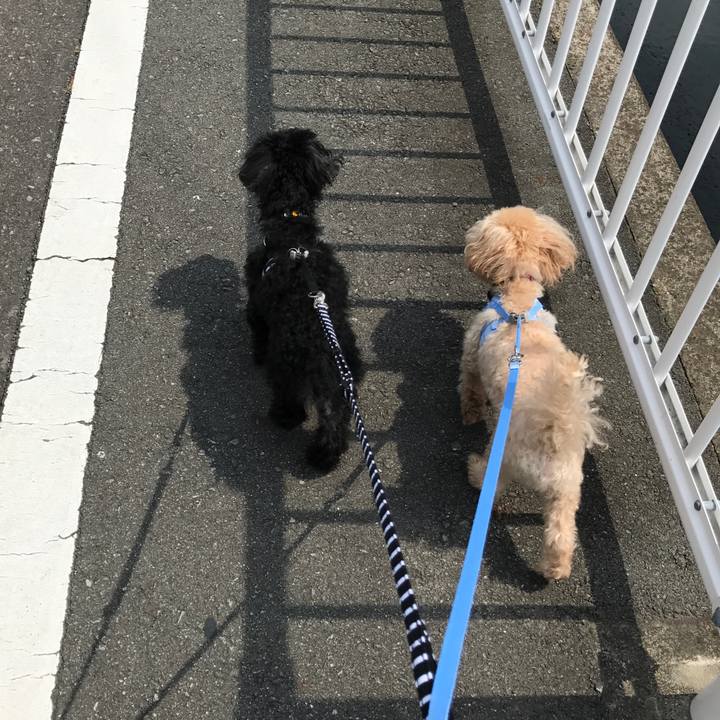 323bdd54 9212 4480 b249 ebe17c74565a