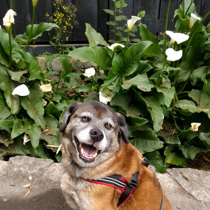 323be872 0a0f 4879 80df 92c65d2bdec6