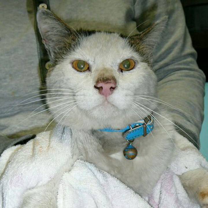 323c1f1a 64a7 43f4 b8ae 941e9cb876b1