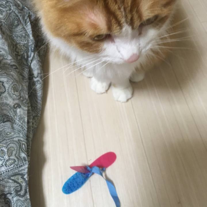 323c7e2f 8282 43b4 963a 87ada944be64