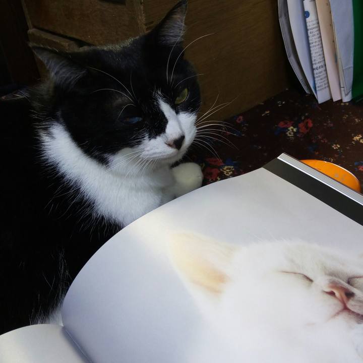 323cabfc 04d0 49e4 9ff2 031c0f736642