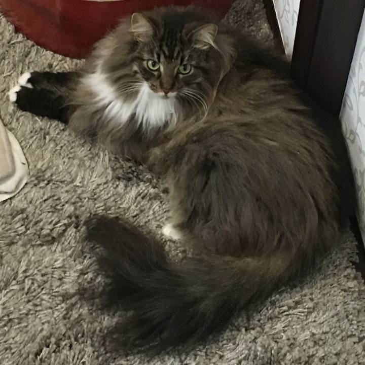 323d599a 8642 48ee bf64 78f969a9e5e1