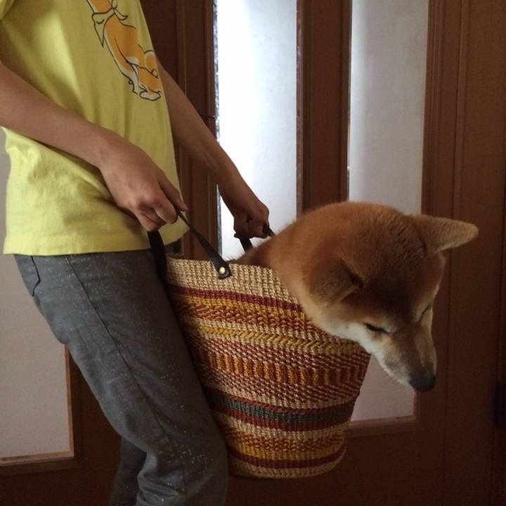 323df08d 1017 42dc 89fe 304fb1adeb64