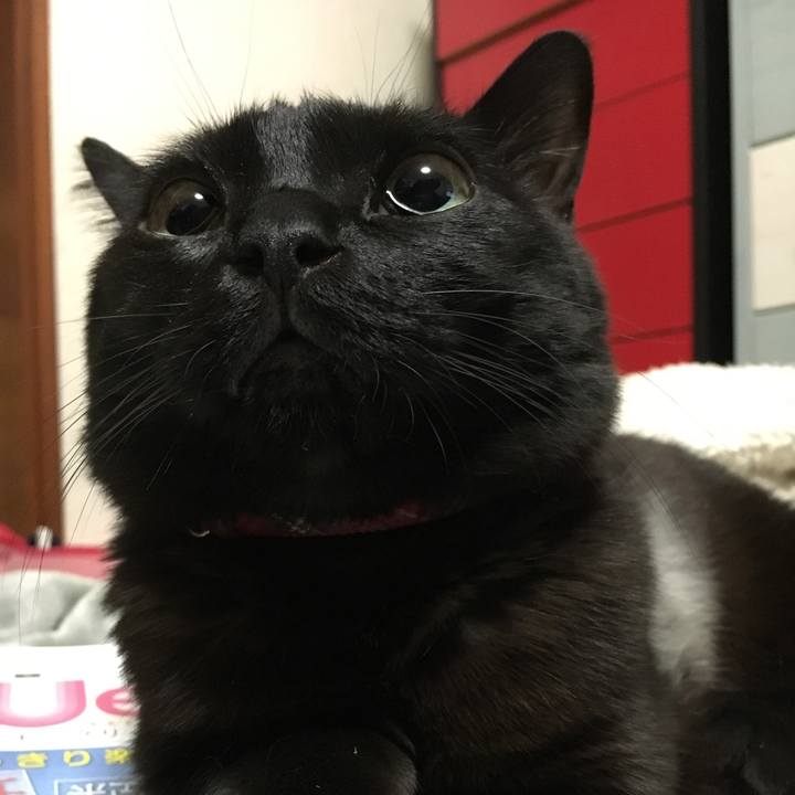 323ea17e 73c0 46c7 aa4c 38af5e86ec30