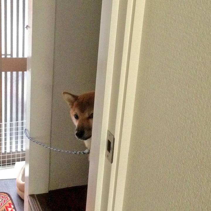 323eb429 8ff4 45bb a099 0adcbaf2e6e0