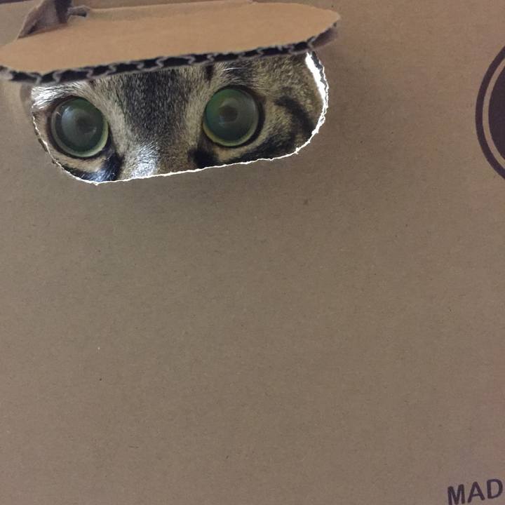 323ef499 6536 4b4e a912 6760a5f56b4c