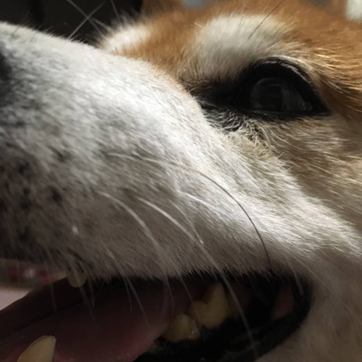 323f0189 58b1 49ec a755 7d248771ffe0